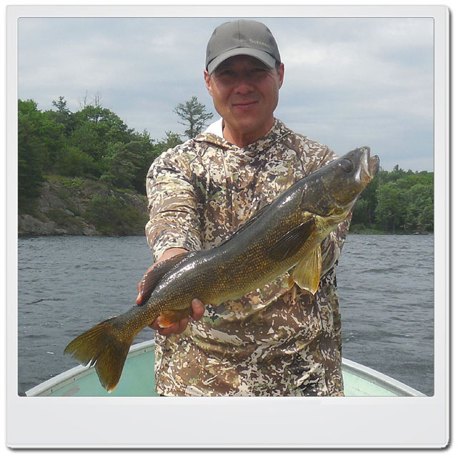 Walleye